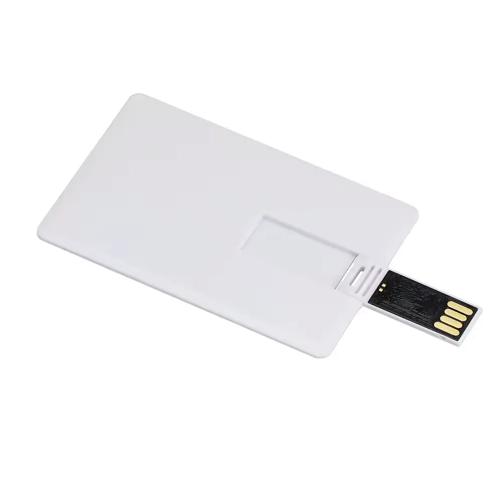 Cartão Pendrive (Pen Card)